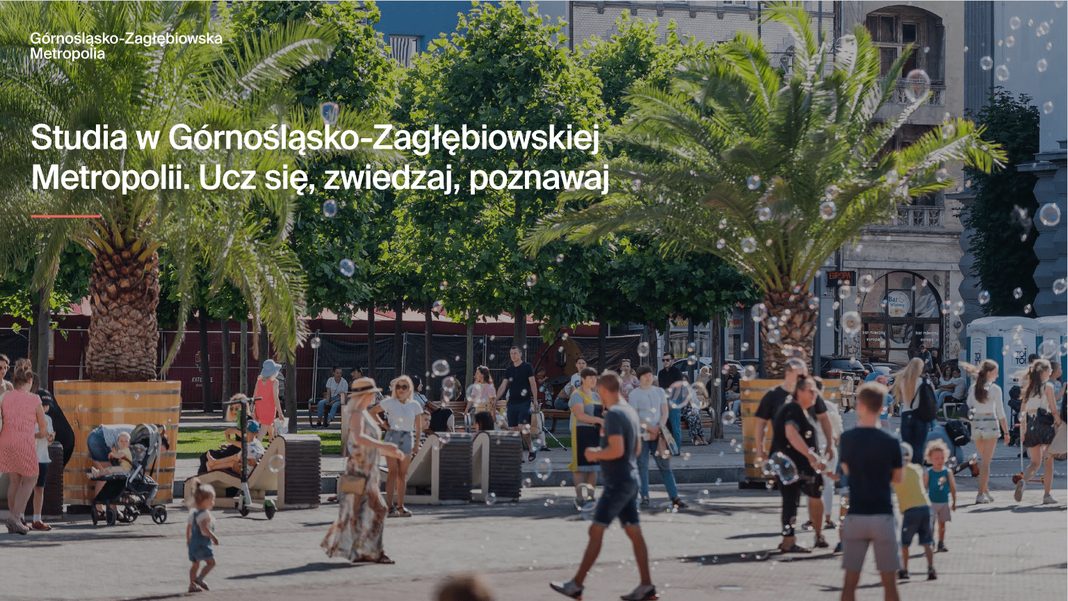 studiujwmetropolii